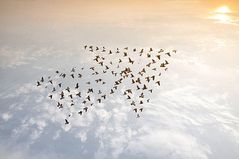 Werteorientierte Führungskultur